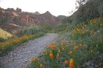 photo thumbnail #3