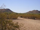 photo thumbnail #3