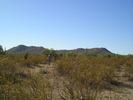 photo thumbnail #5