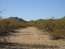 photo thumbnail #7