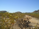 photo thumbnail #9