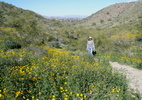 photo thumbnail #11