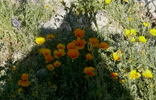 photo thumbnail #12