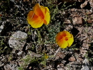 photo thumbnail #13