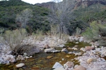 photo thumbnail #1
