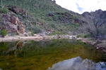 photo thumbnail #2