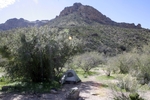 photo thumbnail #4