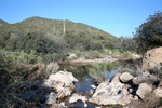 photo thumbnail #6