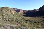 photo thumbnail #8