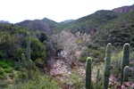 photo thumbnail #10