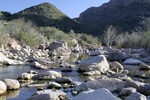 photo thumbnail #13