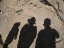 photo thumbnail #8