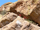 photo thumbnail #1