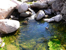 photo thumbnail #6
