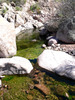 photo thumbnail #8