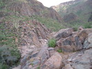 photo thumbnail #2