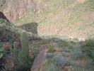 photo thumbnail #6