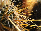 photo thumbnail #1