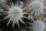 Featured Detail Photo