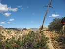 photo thumbnail #8