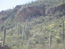 photo thumbnail #2
