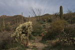 photo thumbnail #4