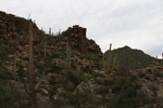 photo thumbnail #8