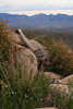 photo thumbnail #13