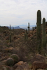 photo thumbnail #14