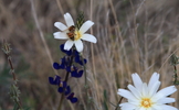 photo thumbnail #15