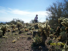 photo thumbnail #1