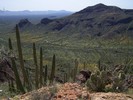 photo thumbnail #8