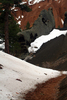 photo thumbnail #4