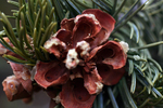 photo thumbnail #8