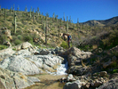 photo thumbnail #4