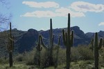 photo thumbnail #1