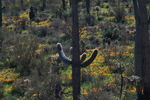 photo thumbnail #6