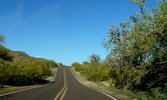 photo thumbnail #13