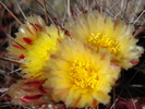 photo thumbnail #10