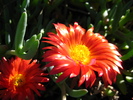 photo thumbnail #13