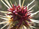 photo thumbnail #14