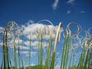 photo thumbnail #15