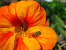 Featured Full Photo
