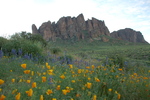 photo thumbnail #3