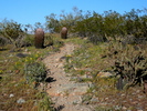 photo thumbnail #4