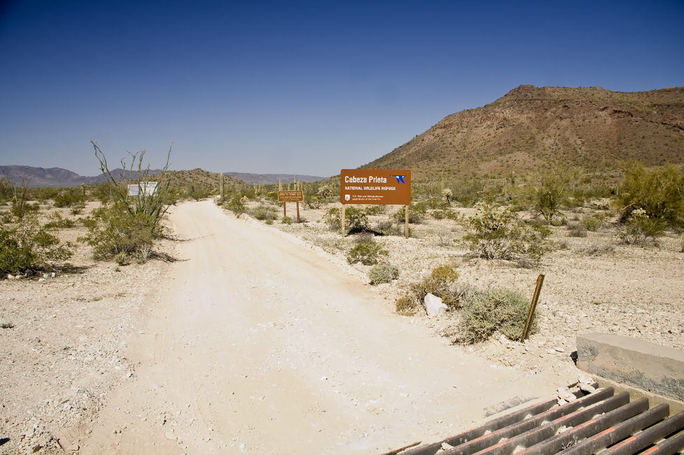 Charlie Bell Road - Cabeza Prieta NWR, AZ | HikeArizona