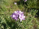 photo thumbnail #1