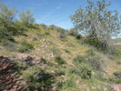 photo thumbnail #10