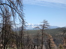 photo thumbnail #5