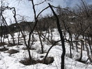 photo thumbnail #6